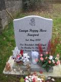 image of grave number 198504